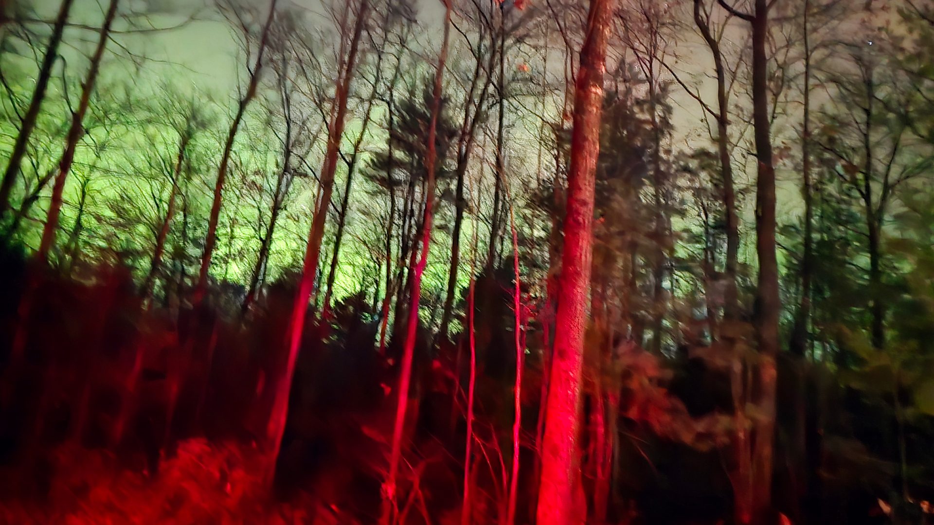 Northern lights over a forest in northern Wisconsin